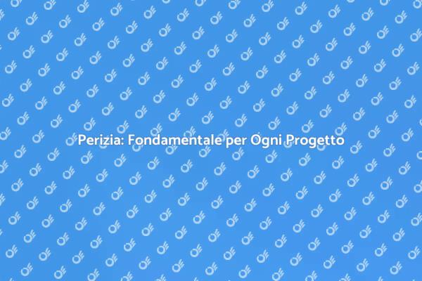 Importanza della Perizia nei Progetti