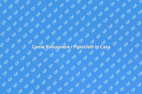 Rimozione Pipistrelli: Guida Pratica