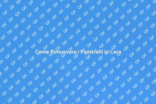 Rimuovere Pipistrelli: Ecco Come Fare