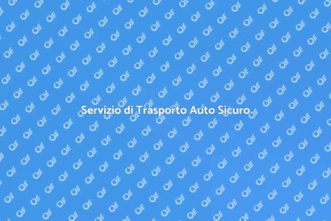 Trasporto Auto Professionale e Affidabile