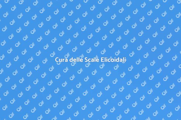 Scale Elicoidali: Manutenzione Necessaria