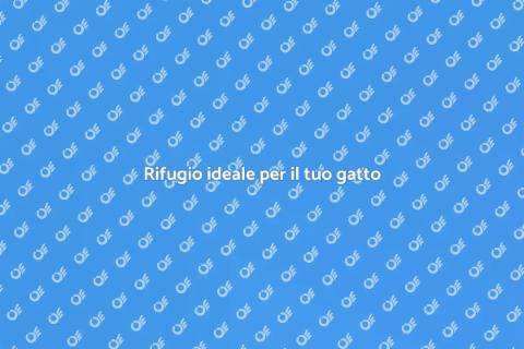 Pensione per gatti: il rifugio ideale