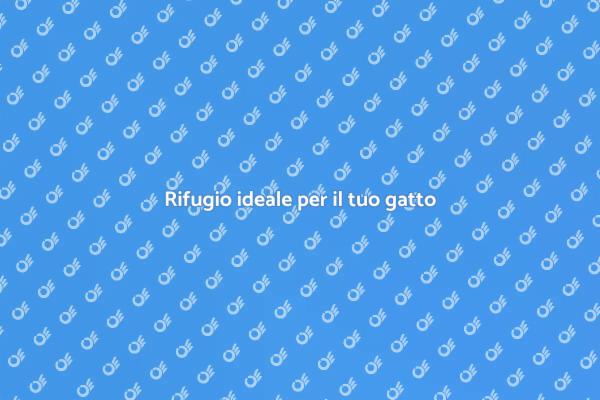 Scopri la pensione per gatti perfetta