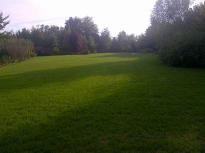 Vivaio La Federa di Piccin D. & S.  - Foto 4