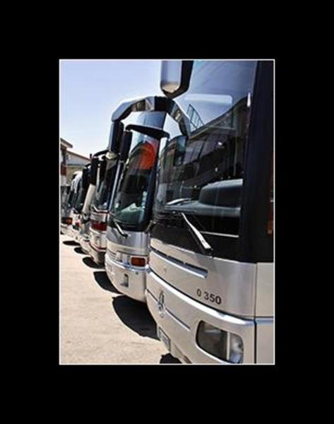 Mezzullo Autobus - Autolinee e Noleggio  - Foto 4
