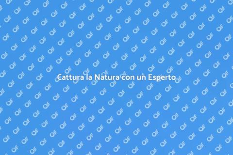Ingaggiare un Fotografo Naturalista