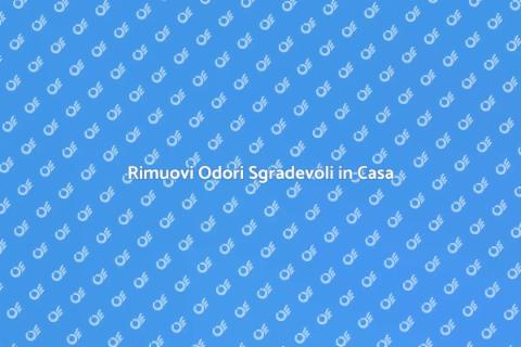 Elimina i Cattivi Odori in Casa