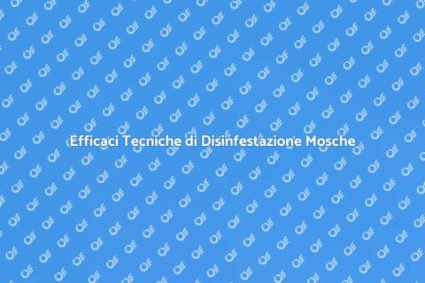 Disinfestazione Mosche: Soluzioni Efficaci