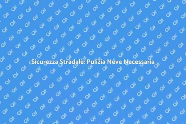 Neve e Strade: Sicurezza Primaria