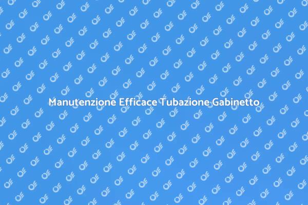 Guida alla Manutenzione del Gabinetto
