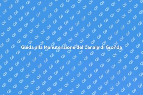 Manutenzione Canale di Gronda