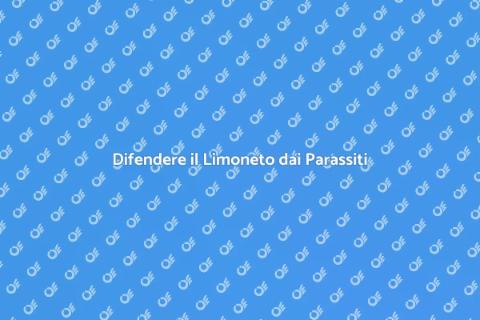 Proteggere il Limoneto dai Parassiti