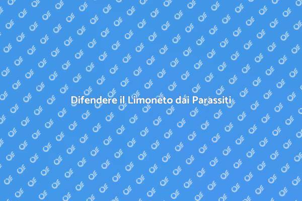 Tecniche per Proteggere il Limoneto