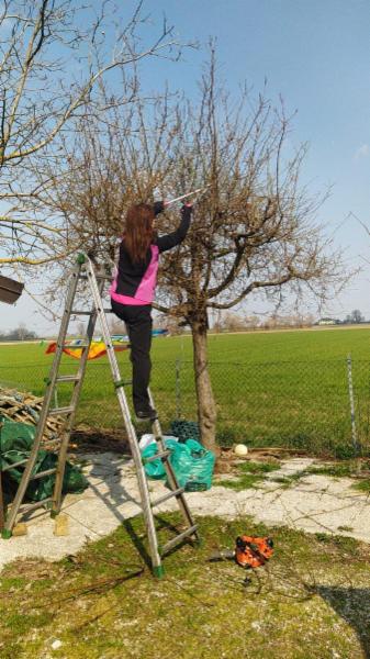 LE GIARDINIERE G. D. - Foto 5