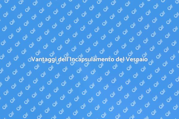 Perché Incapsulare un Vespaio è Fondamentale