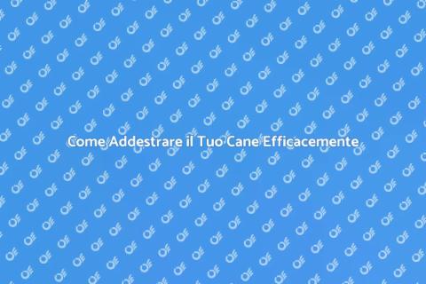 Addestrare un Cane: Guida Pratica
