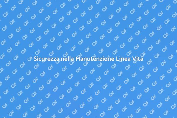 Sicurezza e Manutenzione Linea Vita