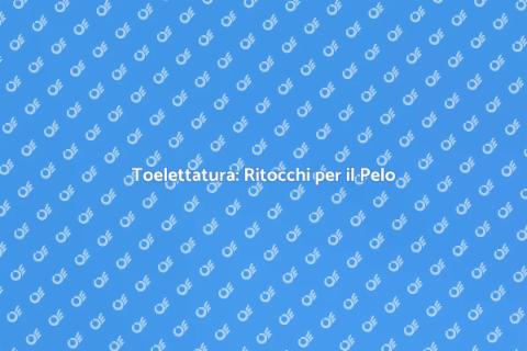 Ritoccare il Pelo: Toelettatura Perfetta