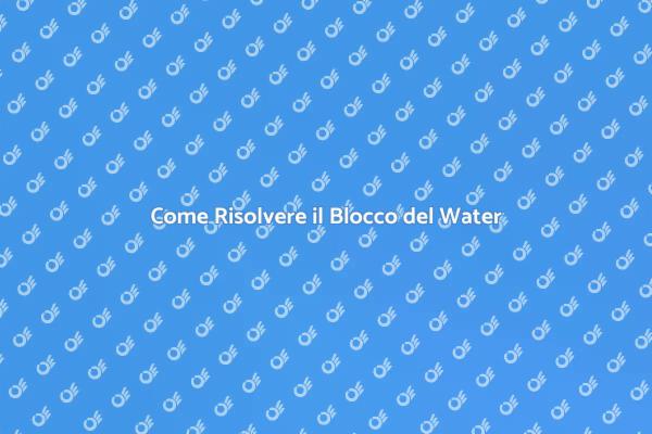 Soluzioni per il Blocco del Water