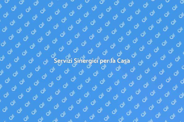 Ristrutturazione e Giardinaggio Sinergico