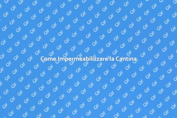 Proteggi la Tua Cantina da Infiltrazioni