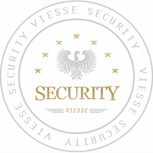 Viesse Security Sistemi di Sicurezza  - Foto 1