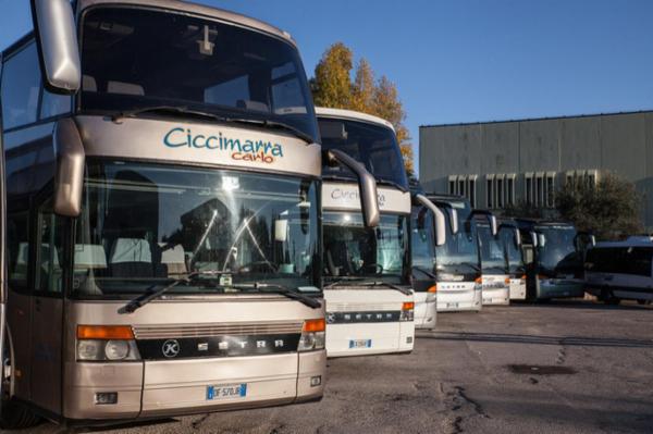 Ciccimarra Carlo e Figli Srl  - Foto 26