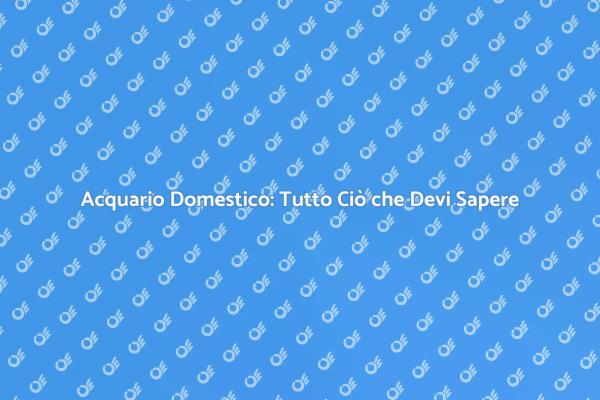Creare il Tuo Acquario Ideale