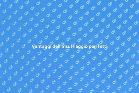 Insufflaggio per Tetti e Solai