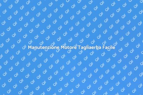 Riparazione Motore Tagliaerba Essenziale