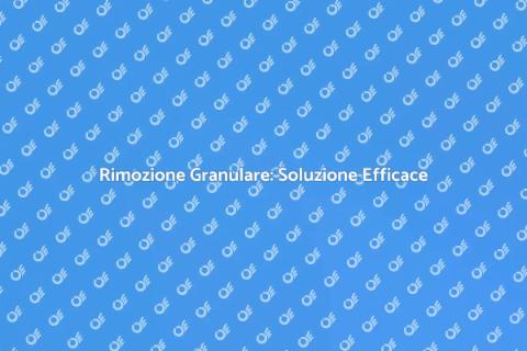 Rimozione Granulare: Guida Completa