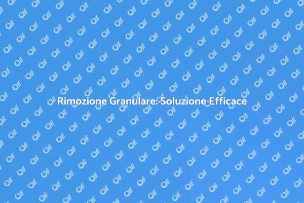 Rimozione Granulare: Tutto Quello che Devi Sapere