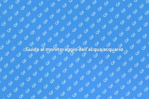Monitorare acqua acquario: guida utile