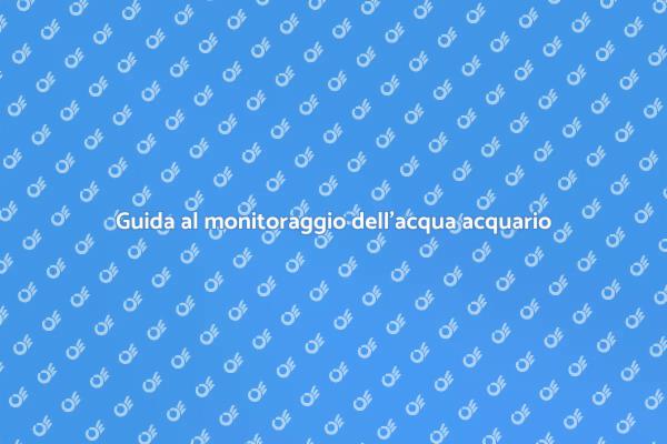 Come garantire un acquario sano