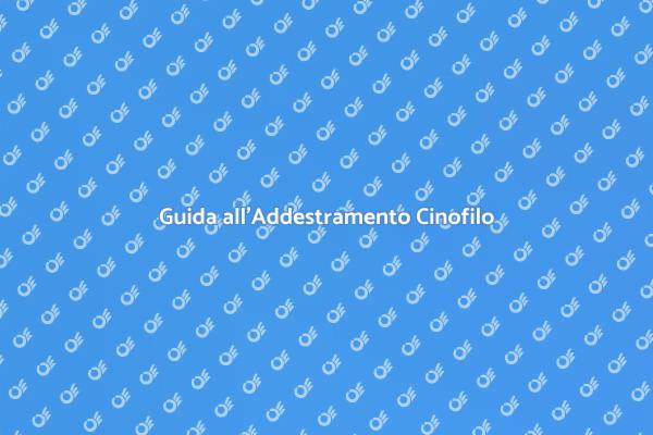Come Scegliere un Addestratore Cinofilo