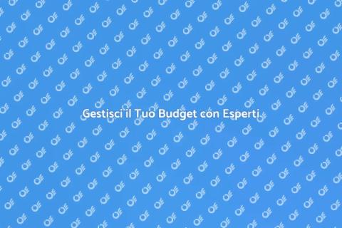 Consulenza per la Gestione del Budget