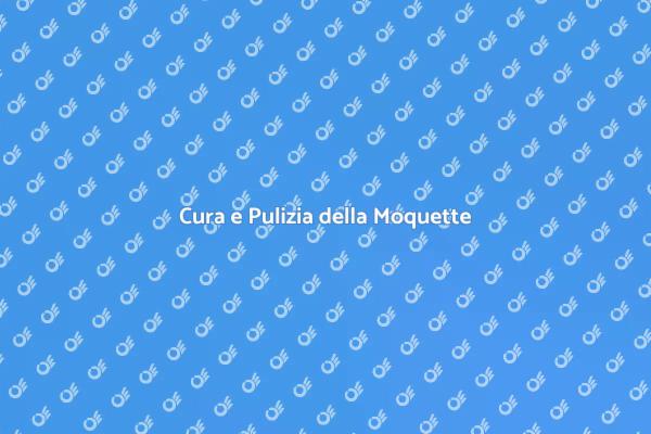 L'Arte della Pulizia della Moquette