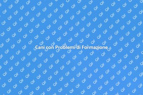 Addestramento Cani: Metodi Efficaci