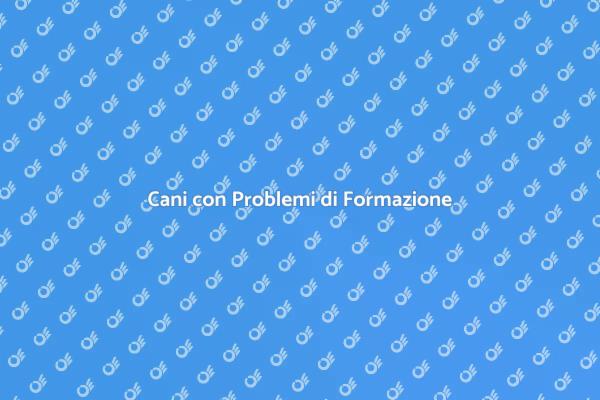 Soluzioni per l'Addestramento Cani