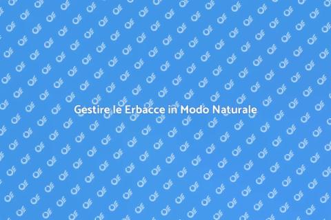 Giardino Senza Erbacce: Tecniche Naturali