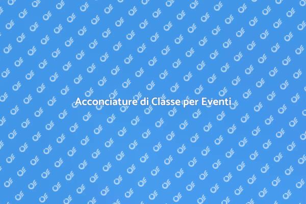 Parrucchiere per Festeggiamenti Eleganti