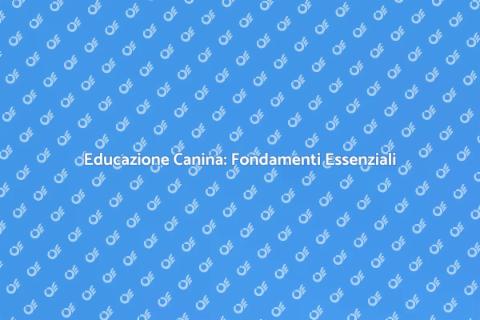 Addestramento Base per Cani: Guida Pratica