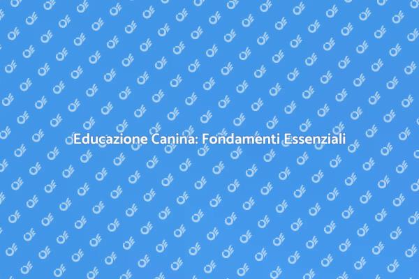 Addestramento Cani: Inizia il Tuo Viaggio