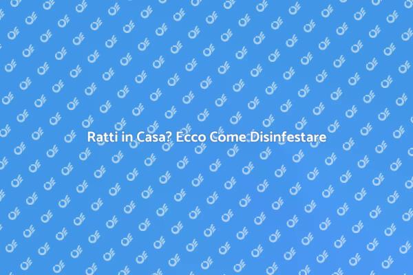 Ratti: Soluzioni per Disinfestare Subito