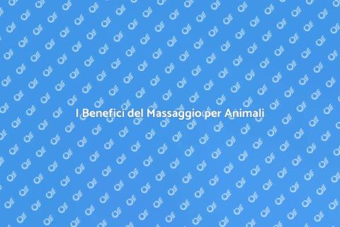 Massaggiatore Certificato per Animali