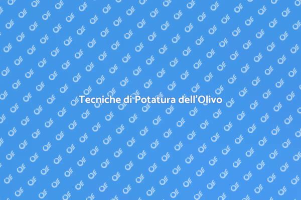 Potatura Olivo: Tecniche e Vantaggi