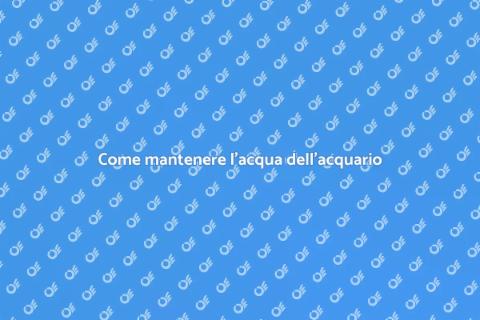 Prevenire problemi acqua acquario marino