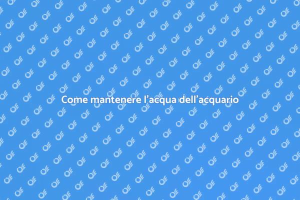 Guida alla qualità dell'acqua nell'acquario