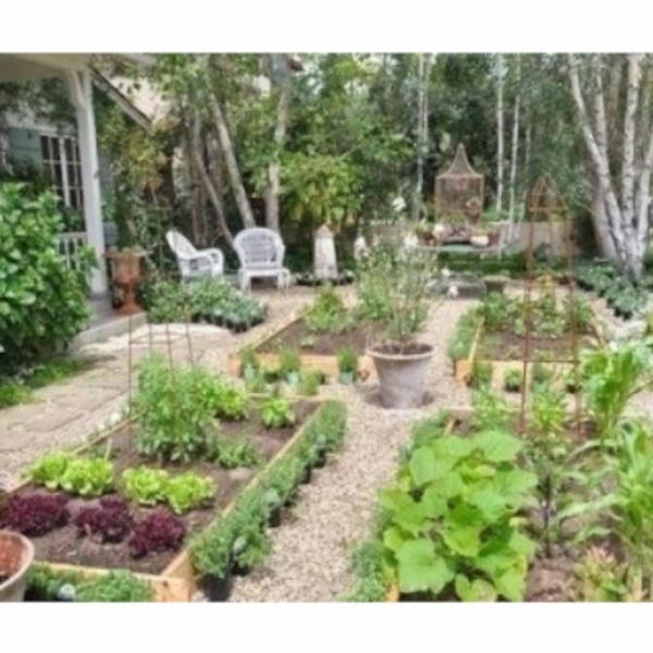 Il Giardino  - Foto 8