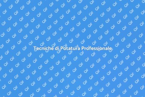 Potare un Arbusto in Modo Professionale